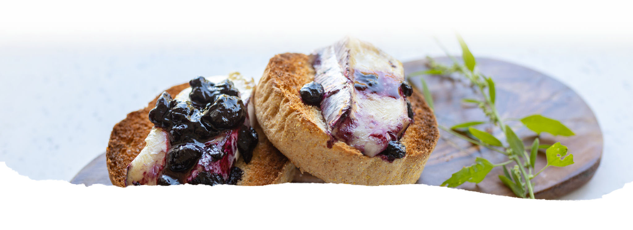 Banner showing a toasted english muffin with goat's cheese and haskap berry preserve to demonstrate haskap berry recipes