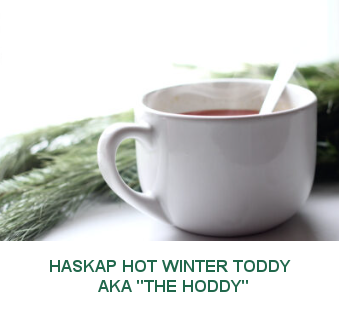 Haskap hot winter toddy aka the hoddy in a white cup with herbs on a white counter