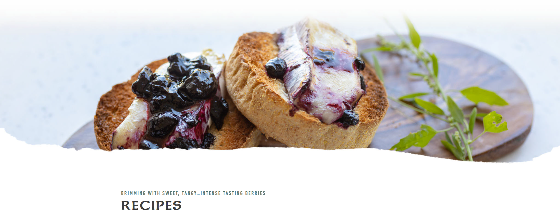 Haskap recipes banner with haskap preserve on muffin on a wooden board