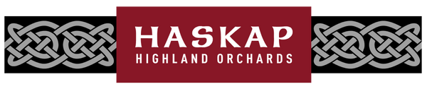 Haskap Highland Orchard logo with celtic Nova Scotian design