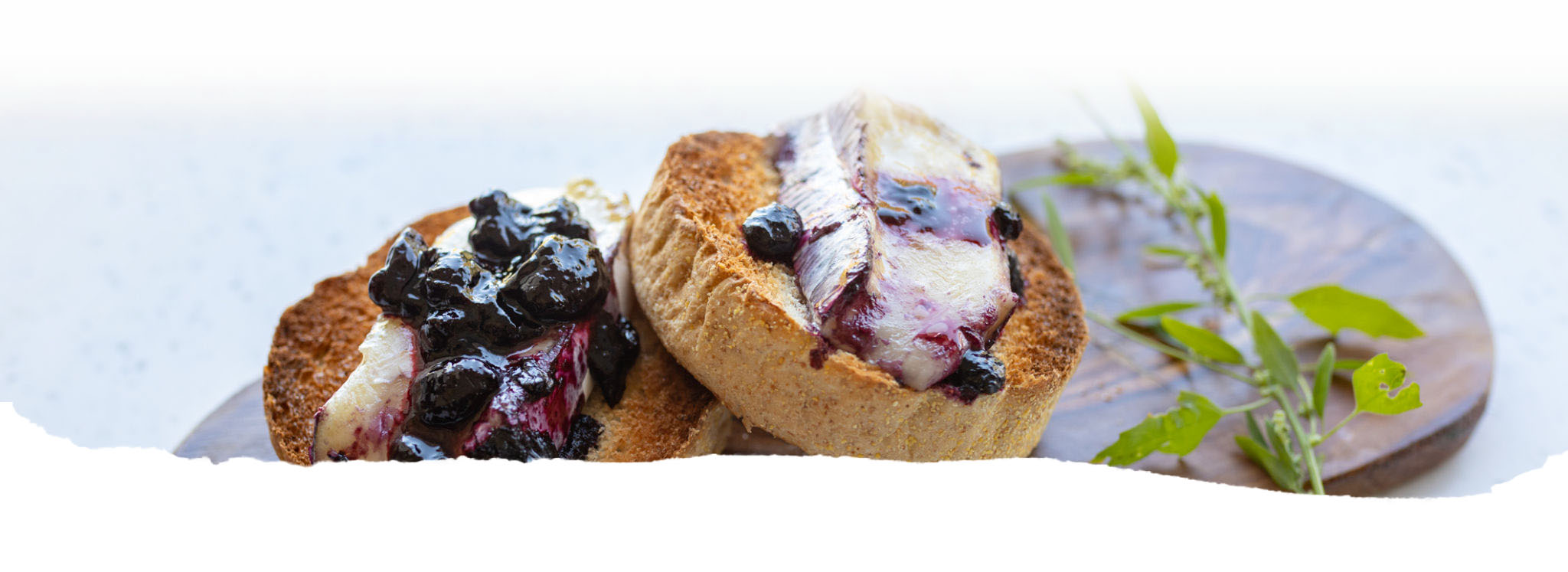 Banner showing a toasted english muffin with goat's cheese and haskap berry preserve to demonstrate haskap berry recipes 